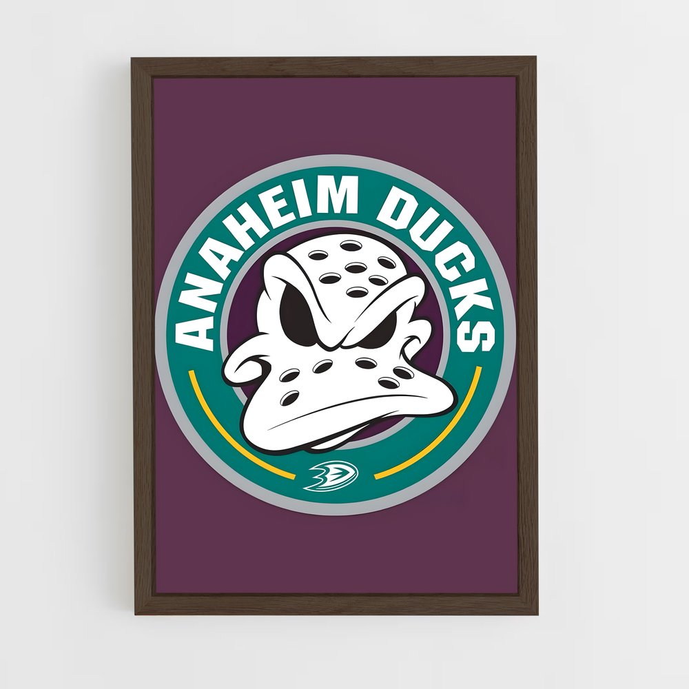Poster Boston Ducks – affiche Hockey sur glace (vue 5)